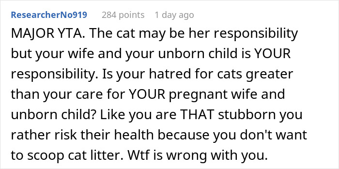 Guy Wonders If He's A Jerk For Refusing To Clean The Litter Box While His Wife Is Pregnant, The Internet Doesn't Hold Back