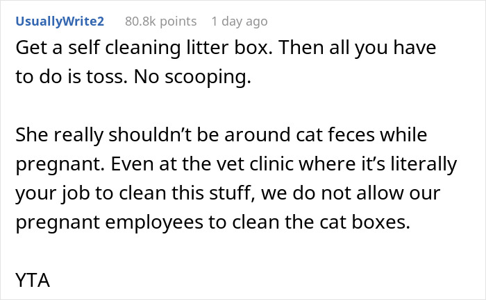 Guy Wonders If He's A Jerk For Refusing To Clean The Litter Box While His Wife Is Pregnant, The Internet Doesn't Hold Back