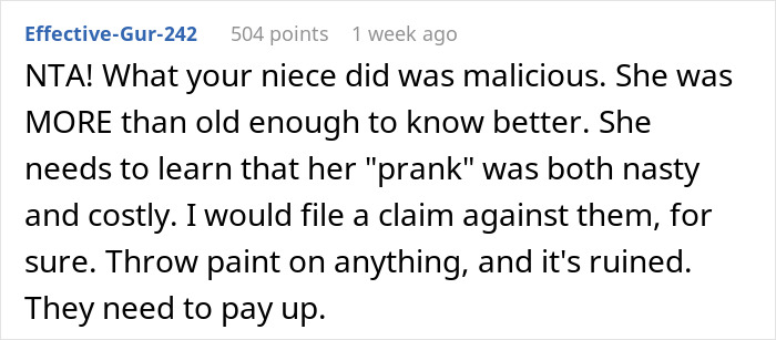 Teen Ruins Aunt's $20k Coat As A "Prank" For Views, She Decides To Sue