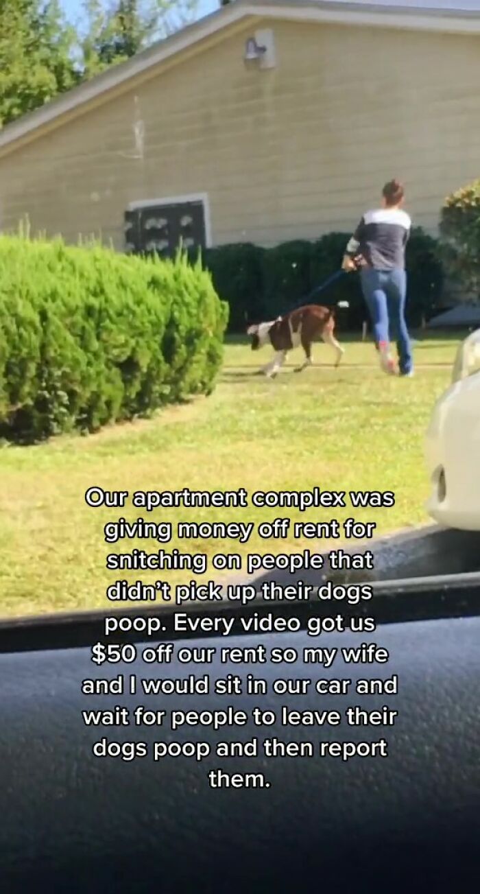 Apartment Complex Offers $50 Off Rent In Exchange For Videos Of Residents Not Cleaning Up After Their Dogs So This Couple Takes Advantage Of It