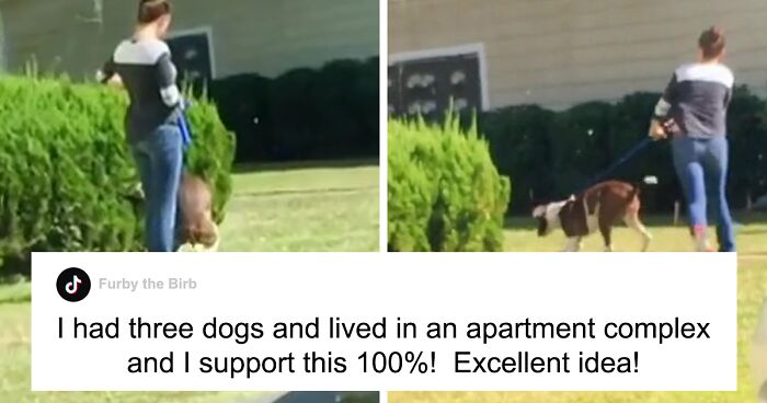 Apartment Complex Offers $50 Off Rent In Exchange For Videos Of Residents Not Cleaning Up After Their Dogs So This Couple Takes Advantage Of It