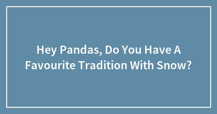 Hey Pandas, Do You Have A Favourite Tradition With Snow?