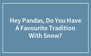 Hey Pandas, Do You Have A Favourite Tradition With Snow?