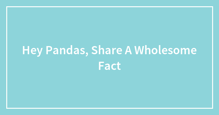 Hey Pandas, Share A Wholesome Fact (Closed)