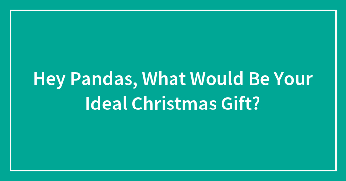 Hey Pandas, What Would Be Your Ideal Christmas Gift? (Closed)