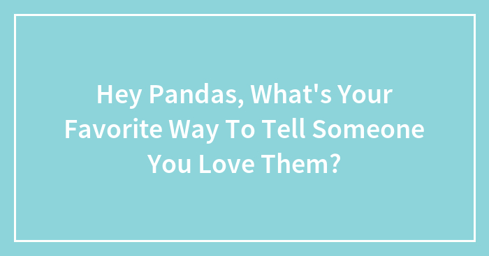 Hey Pandas, What’s Your Favorite Way To Tell Someone You Love Them? (Closed)