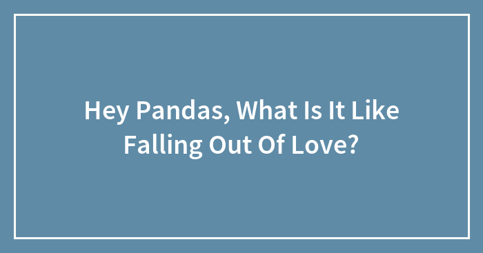 Hey Pandas, What Is It Like Falling Out Of Love? (Closed)