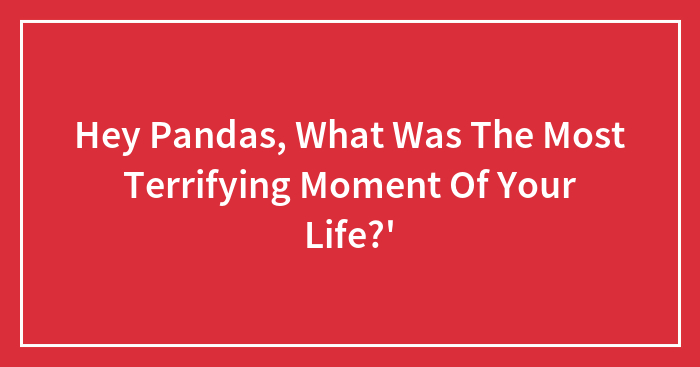 Hey Pandas, What Was The Most Terrifying Moment Of Your Life?’ (Closed)