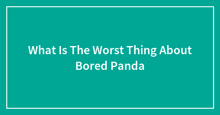 What Is The Worst Thing About Bored Panda