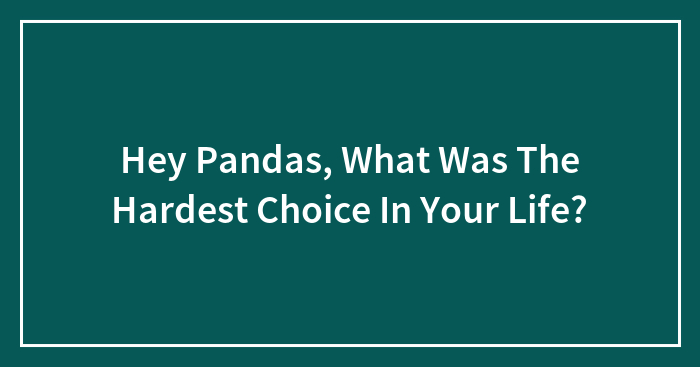Hey Pandas, What Was The Hardest Choice In Your Life? (Closed)