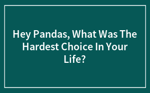 Hey Pandas, What Was The Hardest Choice In Your Life? (Closed)
