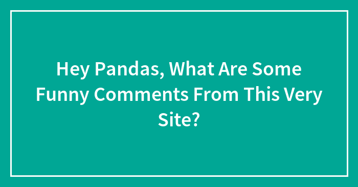 Hey Pandas, What Are Some Funny Comments From This Very Site? (Closed)