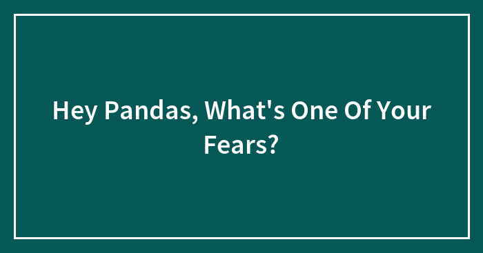 Hey Pandas, What’s One Of Your Fears? (Closed)