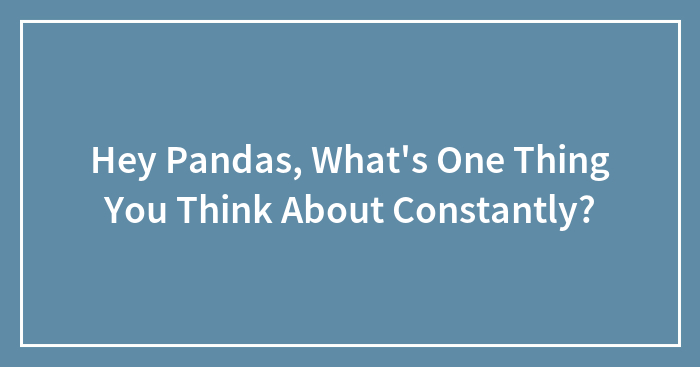 Hey Pandas, What’s One Thing You Think About Constantly? (Closed)