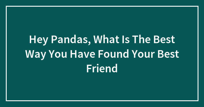 Hey Pandas, What Is The Best Way You Have Found Your Best Friend