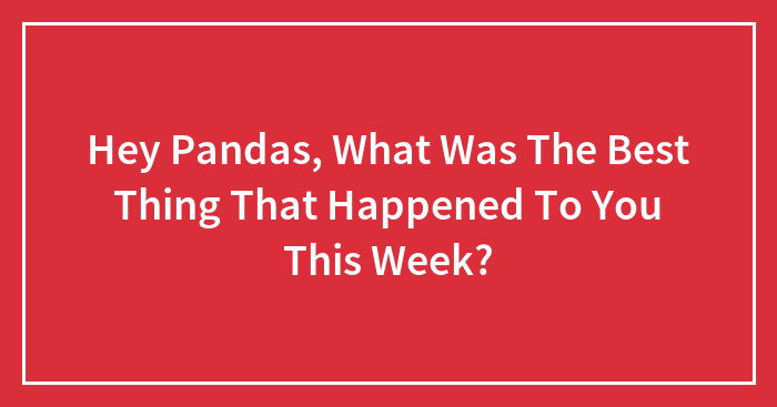 Hey Pandas, What Was The Best Thing That Happened To You This Week?