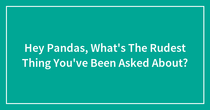 Hey Pandas, What’s The Rudest Thing You’ve Been Asked About? (Closed)