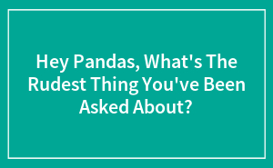 Hey Pandas, What's The Rudest Thing You've Been Asked About?