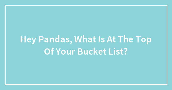 Hey Pandas, What Is At The Top Of Your Bucket List?