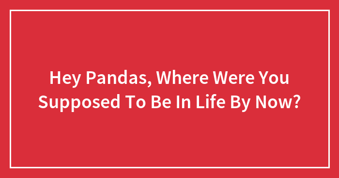 Hey Pandas, Where Were You Supposed To Be In Life By Now? (Closed)