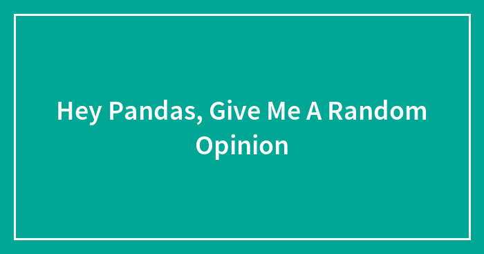 Hey Pandas, Give Me A Random Opinion (Closed)