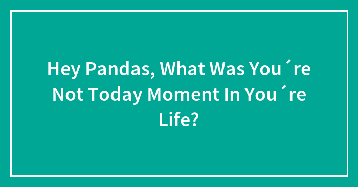 Hey Pandas, What Was You´re Not Today Moment In You´re Life?