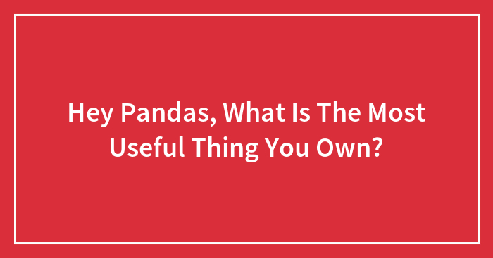 Hey Pandas, What Is The Most Useful Thing You Own? (Closed)