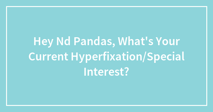 Hey Nd Pandas, What’s Your Current Hyperfixation/Special Interest?