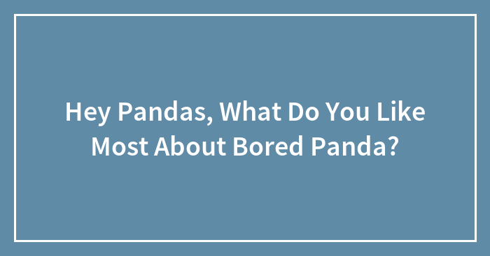 Hey Pandas, What Do You Like Most About Bored Panda? (Closed)