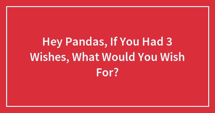 Hey Pandas, If You Had 3 Wishes, What Would You Wish For? (Closed)