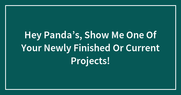 Hey Panda’s, Show Me One Of Your Newly Finished Or Current Projects!