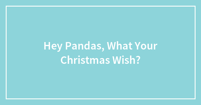 Hey Pandas, What Your Christmas Wish?