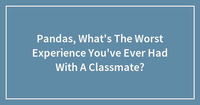 Pandas, What’s The Worst Experience You’ve Ever Had With A Classmate?