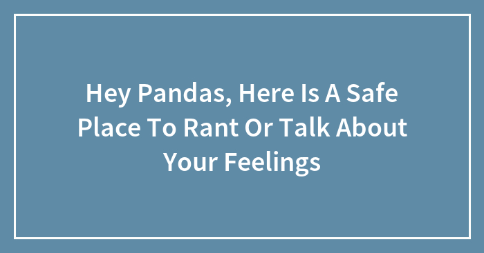 Hey Pandas, Here Is A Safe Place To Rant Or Talk About Your Feelings