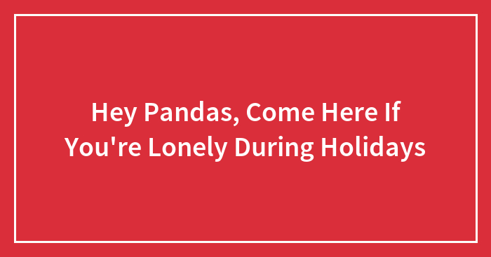Hey Pandas, Come Here If You’re Lonely During Holidays (Closed)