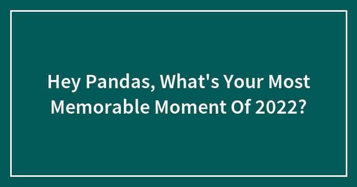 Hey Pandas, What’s Your Most Memorable Moment Of 2022? (Closed)