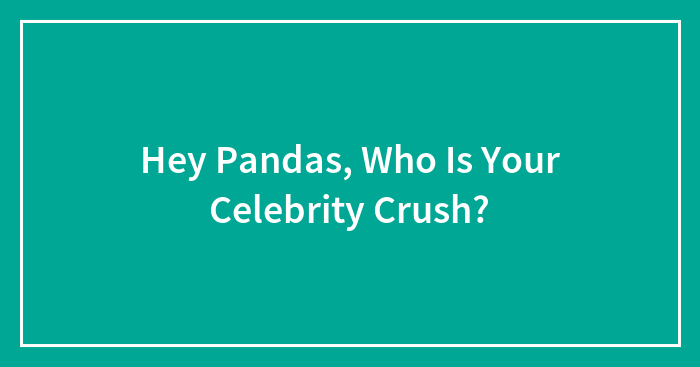 Hey Pandas, Who Is Your Celebrity Crush?