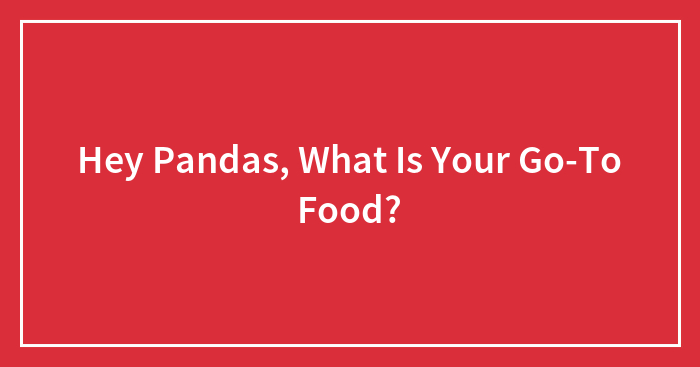 Hey Pandas, What Is Your Go-To Food?