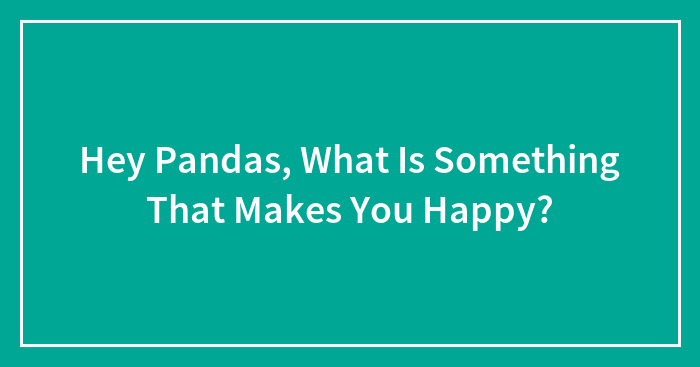 Hey Pandas, What Is Something That Makes You Happy?