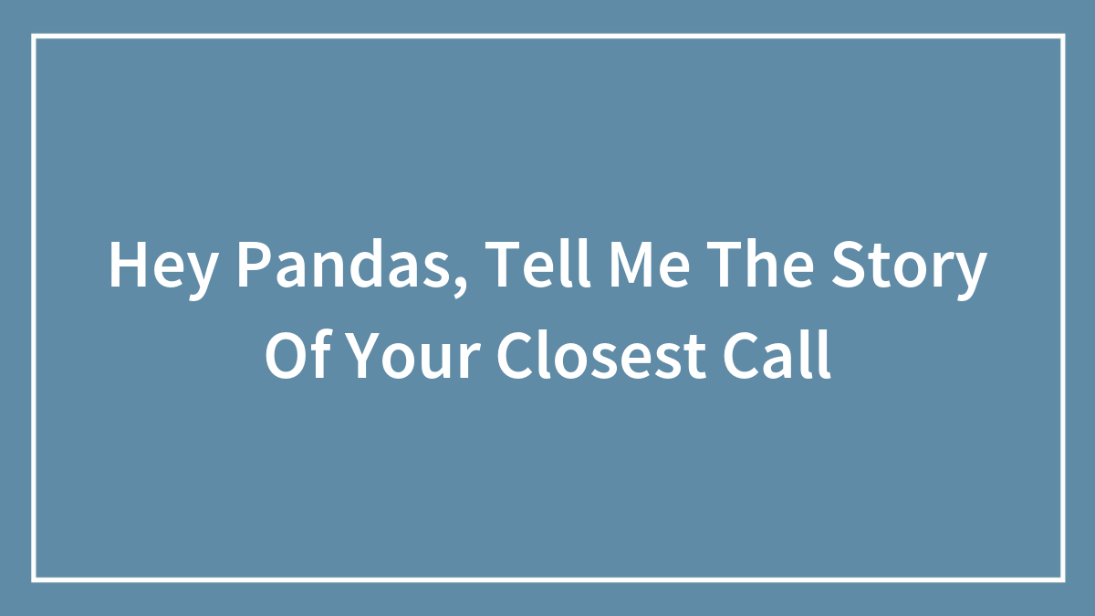 Hey Pandas, Tell Me The Story Of Your Closest Call (Closed)