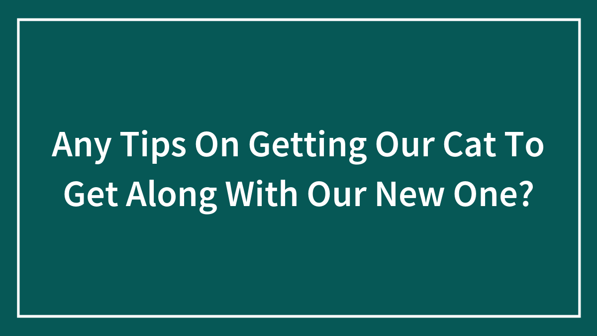 Any Tips On Getting Our Cat To Get Along With Our New One? (Closed)