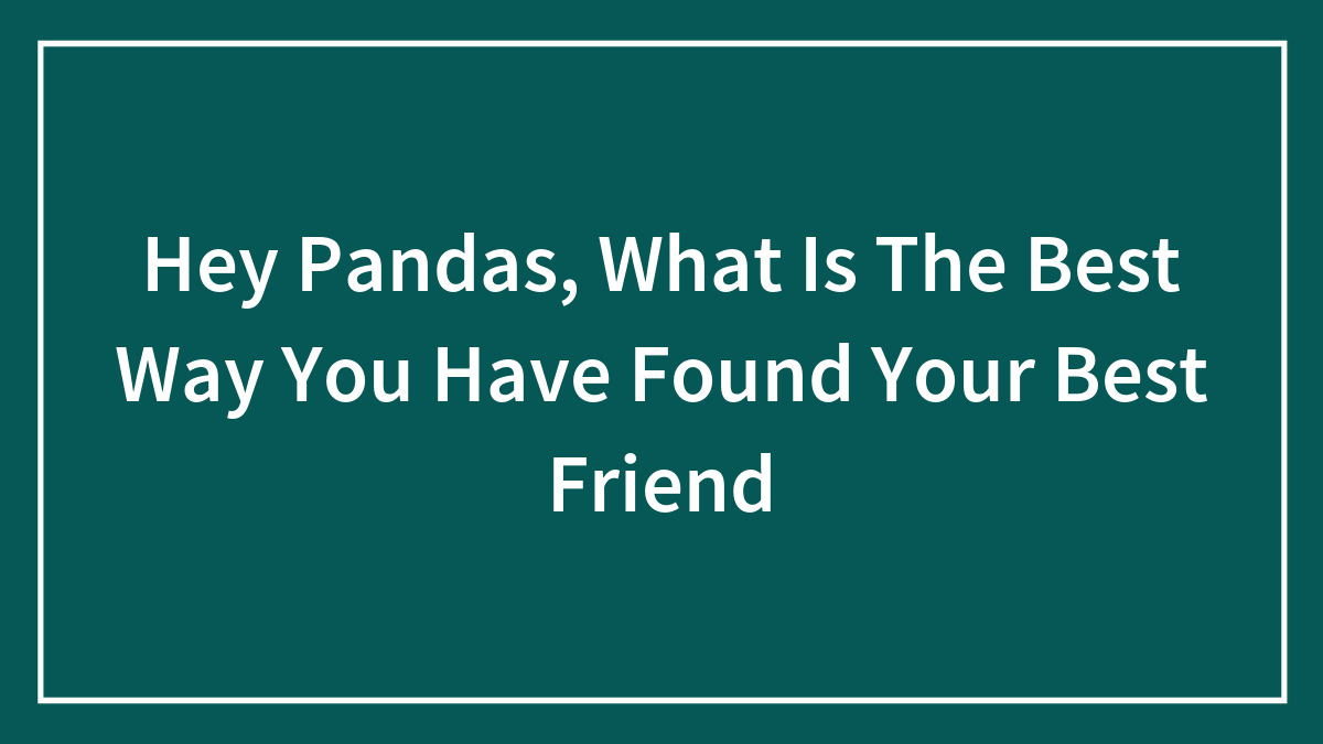 Hey Pandas, What Is The Best Way You Have Found Your Best Friend