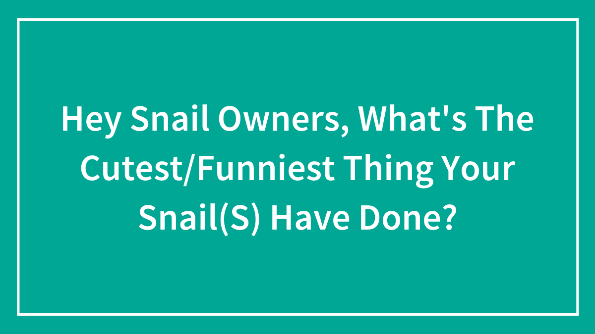 Hey Snail Owners, What’s The Cutest/Funniest Thing Your Snail(S) Have Done? (Closed)