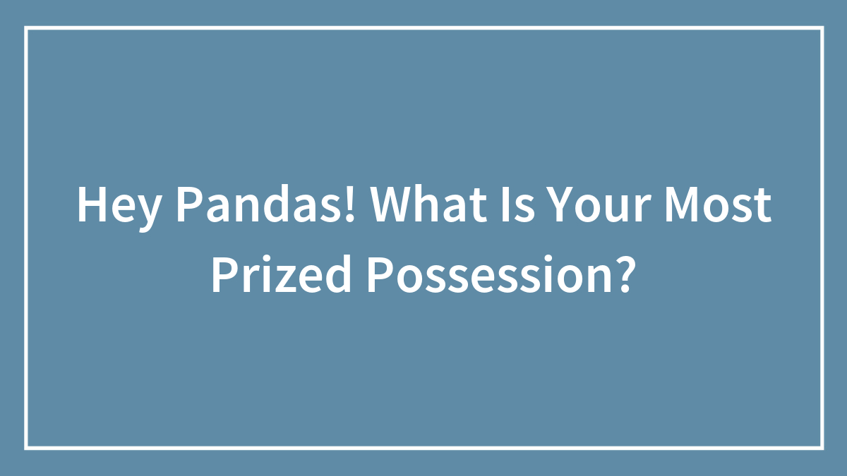 Hey Pandas! What Is Your Most Prized Possession?