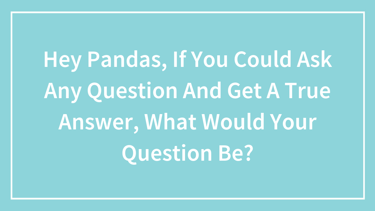 Hey Pandas, If You Could Ask Any Question And Get A True Answer, What Would Your Question Be? (Closed)