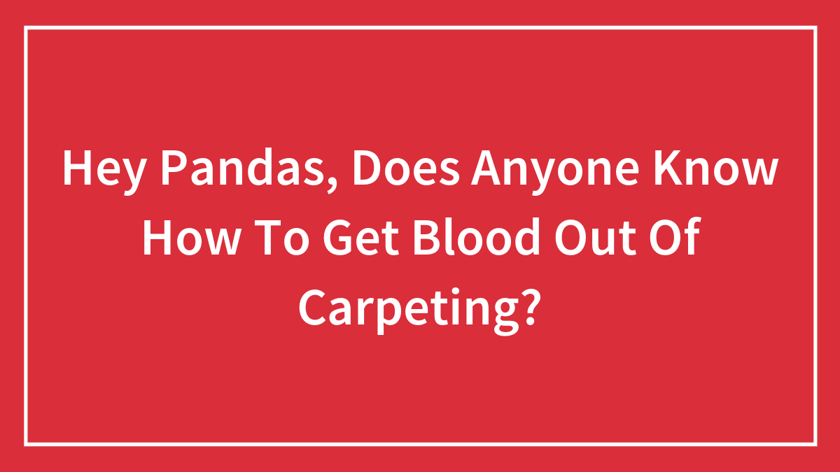 Hey Pandas, Does Anyone Know How To Get Blood Out Of Carpeting?