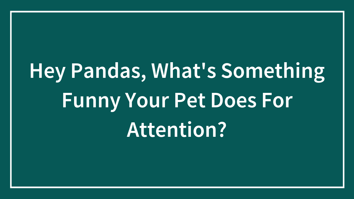 Hey Pandas, What’s Something Funny Your Pet Does For Attention? (Closed)