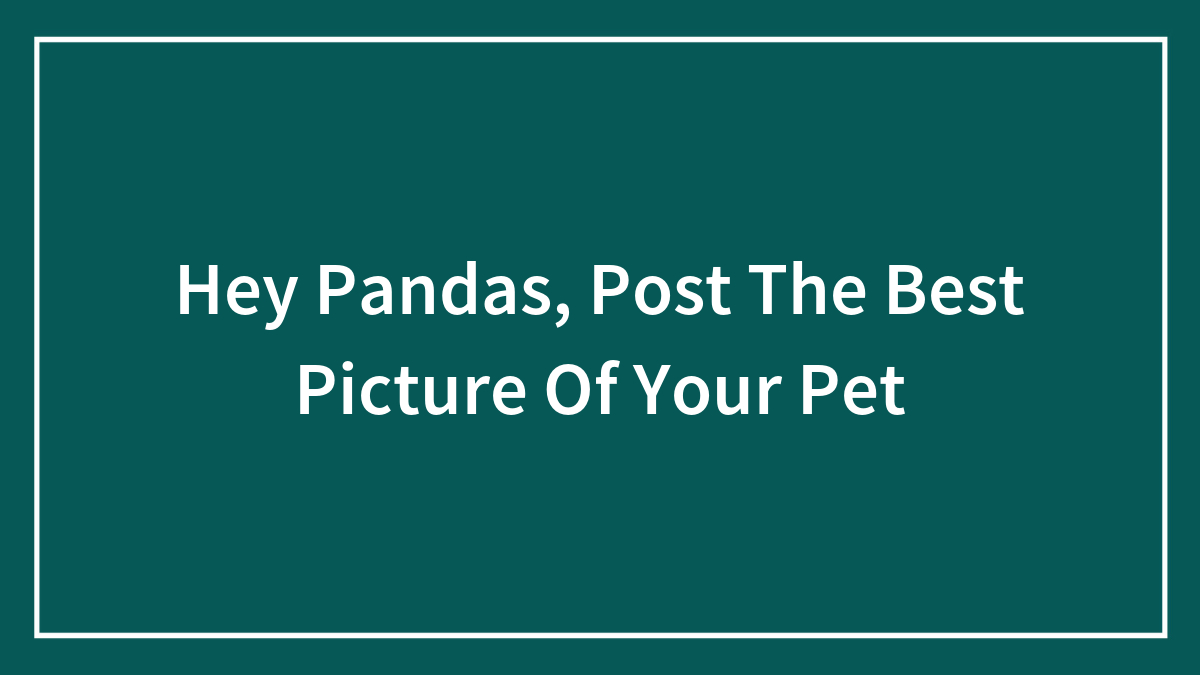 Hey Pandas, Post The Best Picture Of Your Pet