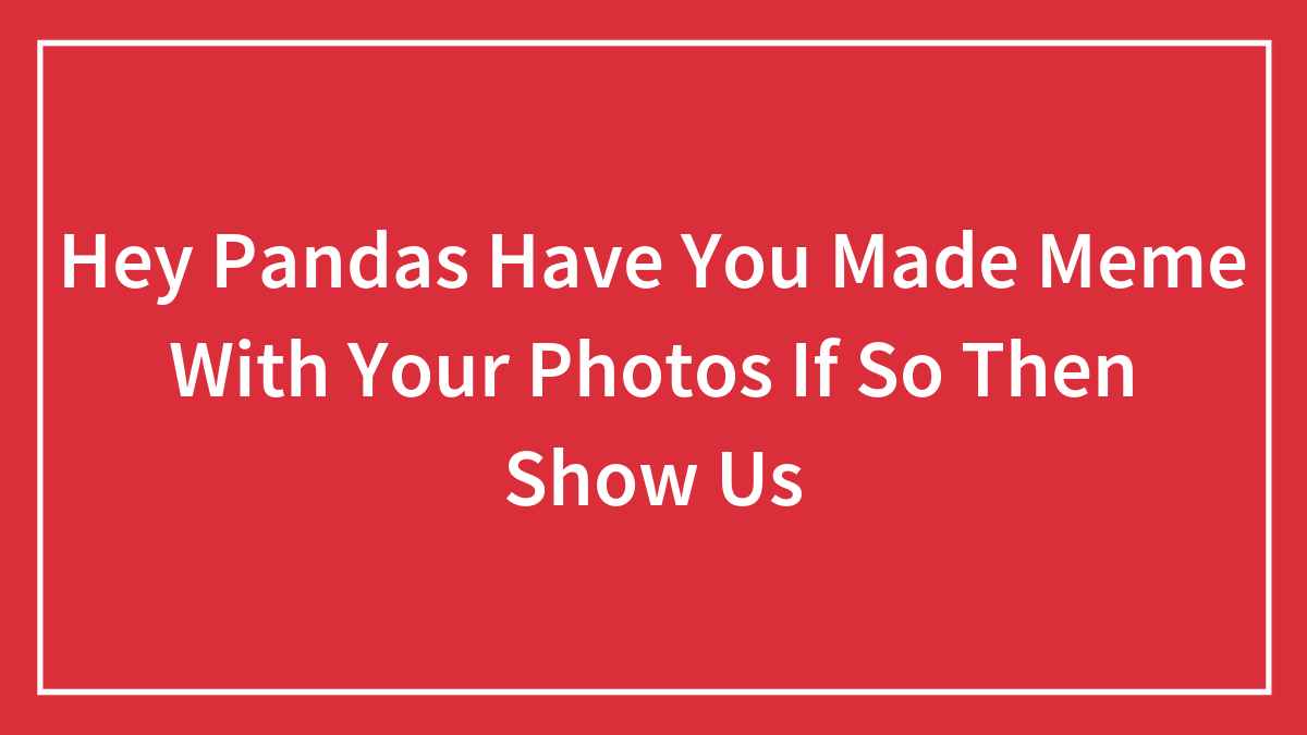 Hey Pandas Have You Made Meme With Your Photos If So Then Show Us