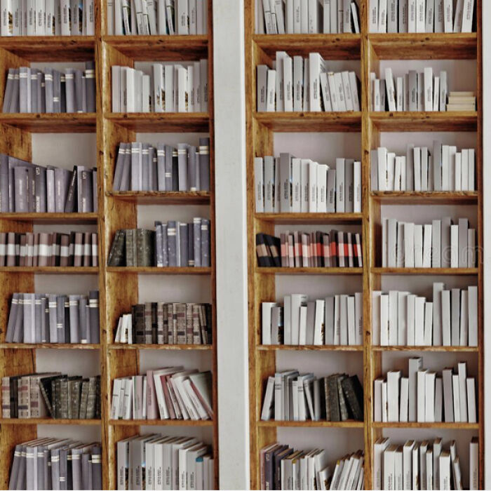 Hey Pandas, Post An Excerpt Of A Book You Are Working On Writing